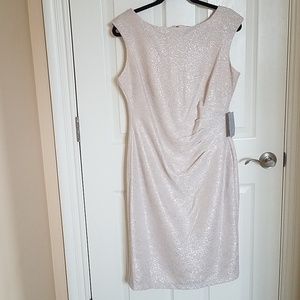 Marina Shimmery Blush with Silver Dress 10